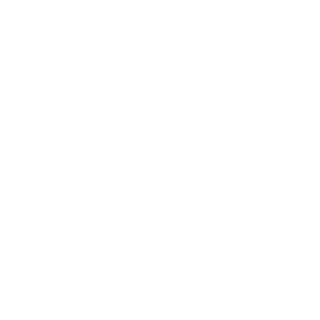 Les Valseurs